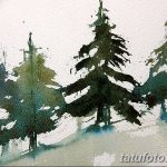 снимка Скици на татуировка смърч от 23.04.2018 №093 - Скици на татуировка смърч -