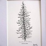 снимка Скици на татуировка смърч от 23.04.2018 №098 - Скици на татуировка смърч -