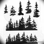 снимка Скици на татуировка смърч от 23.04.2018 №103 - Скици на татуировка смърч -