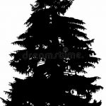 снимка Скици на татуировка смърч от 23.04.2018 №105 - Скици на татуировка смърч -