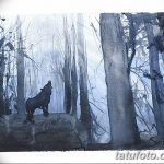 снимка Скици на татуировка смърч от 23.04.2018 №110 - Скици на татуировка смърч -