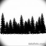 снимка Скици на татуировка смърч от 23.04.2018 №117 - Скици на татуировка смърч -