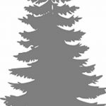 снимка Скици на татуировка смърч от 23.04.2018 №118 - Скици на татуировка смърч -