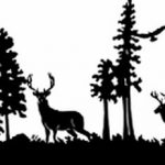 снимка Скици на татуировка смърч от 23.04.2018 №128 - Скици на татуировка смърч -