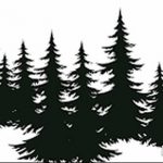 снимка Скици на татуировка смърч от 23.04.2018 №130 - Скици на татуировка смърч -