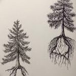 снимка Скици на татуировка смърч от 23.04.2018 №132 - Скици на татуировка смърч -