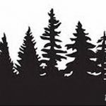 снимка Скици на татуировка смърч от 23.04.2018 №134 - Скици на татуировка смърч -