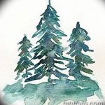 снимка Скици на татуировка смърч от 23.04.2018 №135 - Скици на татуировка смърч -