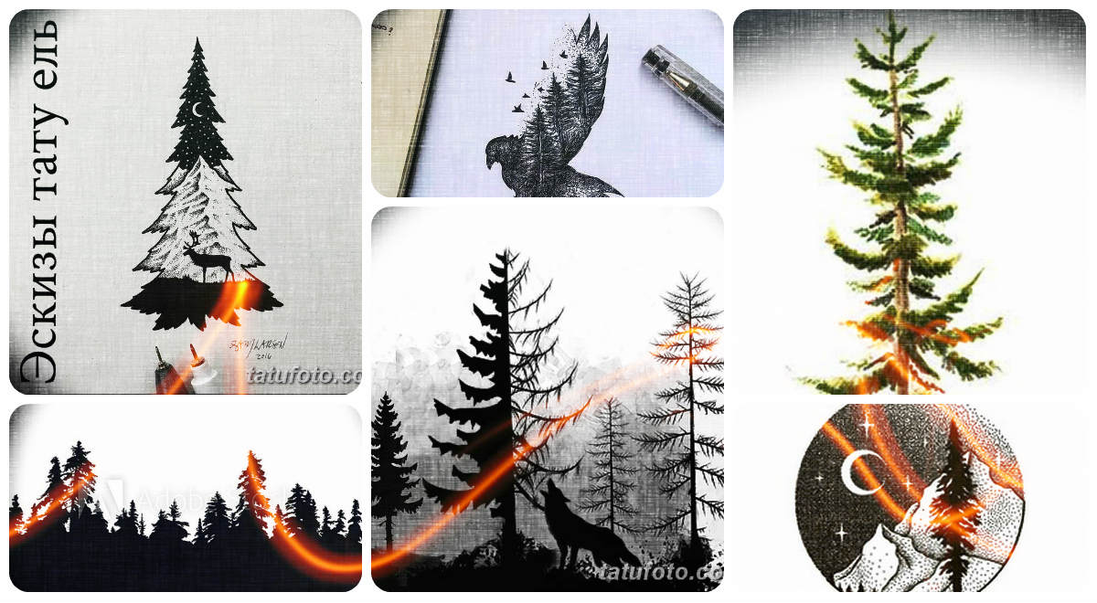 Скици за татуировка на смърч - колекция от интересни рисунки за татуировки