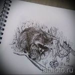 Példa egy enot tetoválási vázlatra tetováláshoz - tatufoto.ru - 15