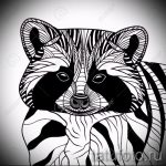 Példa egy enot tetoválási vázlatra tetováláshoz - tatufoto.ru - 30