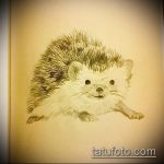 vázlat egy 647 -es sündisznó tetoválásról - a kép méltó változata, amely könnyen használható a labdás sündisznó felülvizsgálatához és tetoválásához