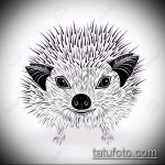 a 742 -es sündisznó tetoválás vázlata - a minta hűvös változata, amely sikeresen használható a virágos sündisznó feldolgozásához és tetoválásához