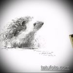 a sündisznó tetoválásának vázlata # 675 egy rajz méltó változata, amely sikeresen használható a golyós sündisznó átalakítására és alkalmazására tetoválásként