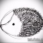 a 210 -es sündisznó tetoválás vázlata - a rajz érdekes változata, amely jól használható a sündisznó pisztoly felülvizsgálatához és tetoválásához