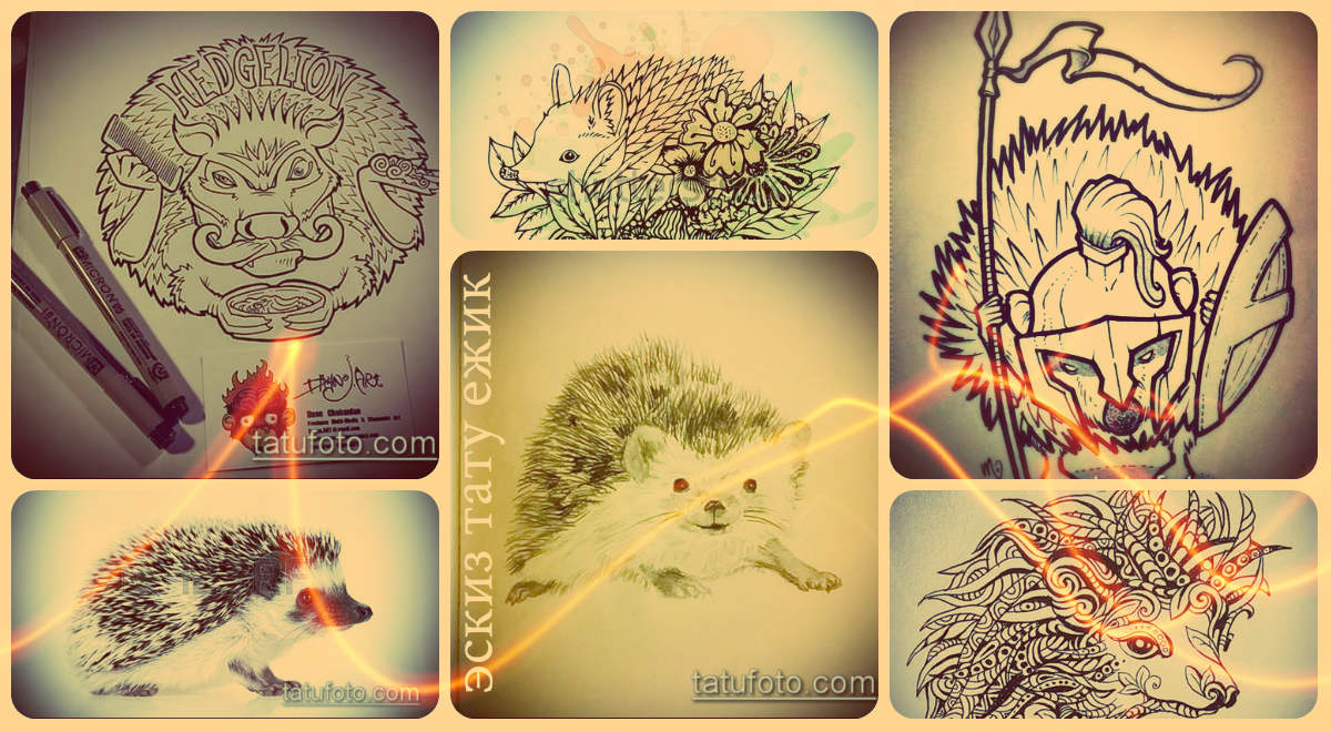 Sündisznó tetoválás vázlatok - menő minták egy érdekes tetováláshoz