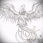 Cool Phoenix Tattoo Sketch - Eredeti rajz a Fire Bird Tattoo vázlatához