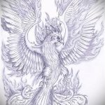 Cool Phoenix Tattoo Sketch - Stílusos rajz, amely vázlatként használható egy tűzmadár tetováláshoz