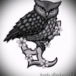 A bagoly tetoválási vázlatának hűvös változata - használható bagoly tetoválásához a lábán