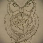 A bagoly tetoválási vázlatának megfelelő változata - bagoly vagy bagoly tetoválásához használható