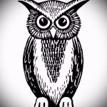 A bagoly tetoválási vázlatának hűvös változata - egy régi iskola bagoly tetoválásához használható