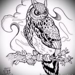 Egy bagoly tetoválási vázlatának érdekes változata - barna bagoly tetováláshoz használható