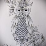 A bagoly tetoválási vázlatának eredeti változata - felhasználható bagoly és álomfogó tetoválásához