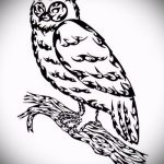 A bagoly tetoválási vázlatának hűvös változata - bagolygyermek tetoválásához használható