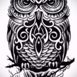 A bagoly tetoválási vázlatának hűvös változata - bagoly tetoválásához használható a karon