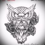 A bagoly tetoválási vázlatának megfelelő változata - használható bagoly tetoválásához a hátán