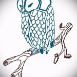 A tetoválás érdekes változata egy bagoly vázlata - felhasználható egy bagoly tetoválásához a mellkason