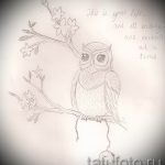 A bagoly tetoválási vázlatának stílusos változata - felhasználható bagoly vagy bagoly tetoválás jelentésére