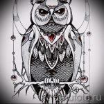 A bagoly tetoválási vázlatának hűvös változata - használható bagoly tetoválásához a hátán