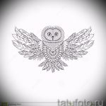 A bagoly tetoválási vázlatának hűvös változata - bagolybagoly tetoválásához használható