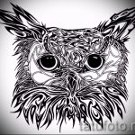 A bagoly tetoválási vázlatának hűvös változata - felhasználható egy bagoly realizmus tetoválásához
