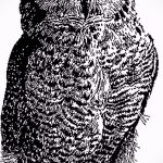 A bagoly tetoválási vázlatának megfelelő változata - felhasználható bagoly tetoválásához az alkaron