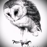 A bagoly tetoválási vázlatának stílusos változata - használható egy bagly tetoválásához háromszögben