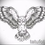 A bagoly tetoválási vázlatának eredeti változata - használható bagoly tetoválásához a nyakon