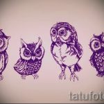 A bagoly tetoválási vázlatának stílusos változata - felhasználható bagoly tetoválásához a vállán