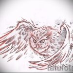 A bagoly tetoválási vázlatának hűvös változata - felhasználható bagoly és álomfogó tetoválásához