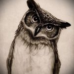 A bagoly tetoválási vázlatának eredeti változata - felhasználható bagolybagoly tetoválásához