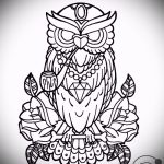 A bagoly tetoválási vázlatának hűvös változata - használható bagoly tetoválásához a vállán
