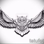 A bagoly tetoválási vázlatának megfelelő változata - a bagoly kontúrjait használhatja tetováláshoz