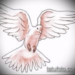 galamb tetoválás vázlata # 808 - a minta exkluzív változata, amely könnyen használható feldolgozásra és tetoválásként történő alkalmazásra a galamb nyakán