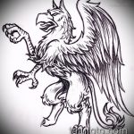 688 -as griff tetoválás vázlata - a minta érdekes változata, amely jól használható a vállon lévő tetoválás griffként történő átalakítására és alkalmazására