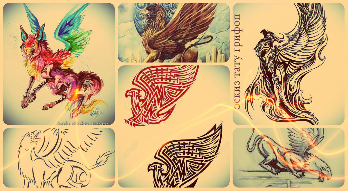 vázlat egy griff tetoválásról, 656. sz.