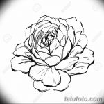 Ranunculus, rózsa, bazsarózsa, dália, kamélia, szegfű, orchidea, hortenzia virágok és dekoratív növények nagy vektorgyűjtemény. Minden elem elszigetelt és szerkeszthető.