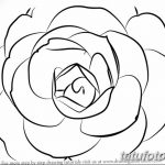 Fényképvázlatok kamélia tetoválásokról 2018. 09. 18 -án №034 - vázlatok kamélia tetoválásokról -