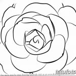 Fényképvázlatok kamélia tetoválásokról 2018. 09. 18 -án №046 - vázlatok kamélia tetoválásokról -