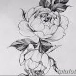 Fényképvázlatok kamélia tetoválásokról 2018. 09. 18 -án №058 - vázlatok kamélia tetoválásokról -